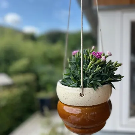 Summerhouse By The Little Belt With Sea View Hébergement de vacances Haderslev